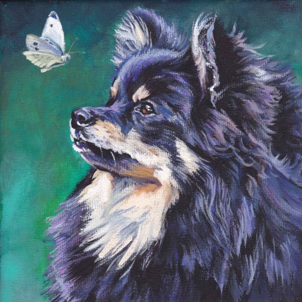 Шпиц акварелью