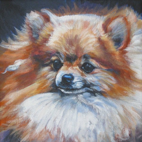 Померанский шпиц искусство