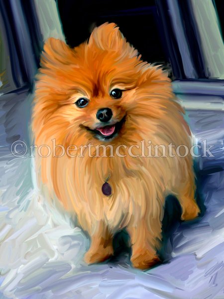 Шпиц картина маслом