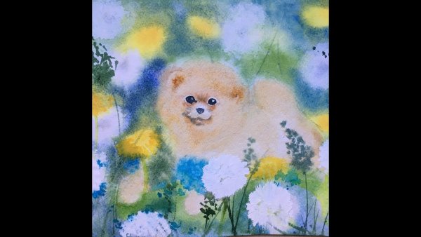 Шпиц акварелью для новичков