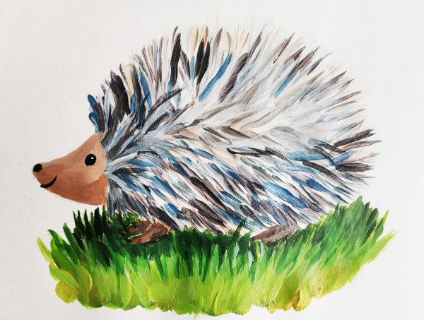 Ежик красками для детей