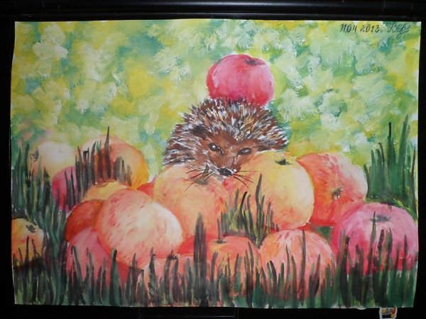 Ёжик для рисования детям