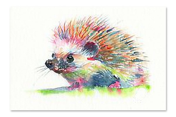 Ёж в красках