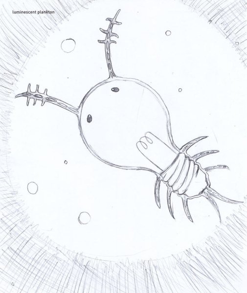 Планктон рисунок карандашом