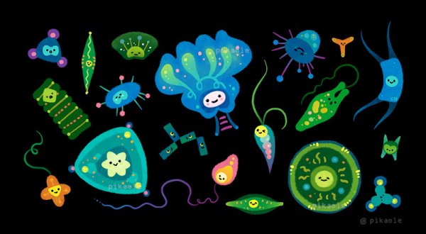 Фитопланктон рисунок