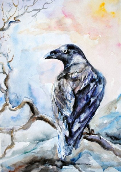 Ворон гуашью