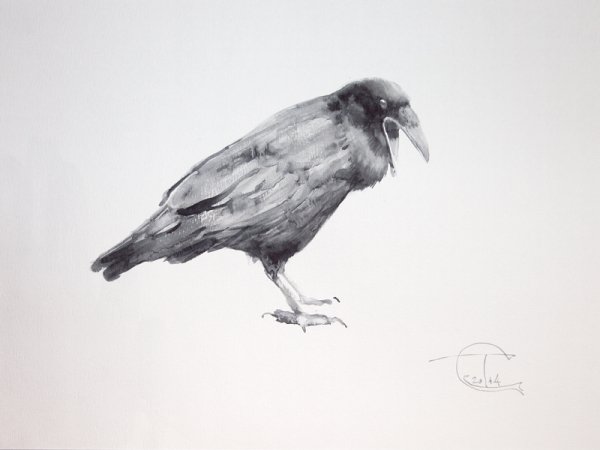 Этюд вороны