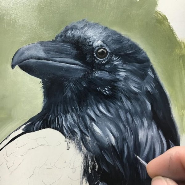 Ворон гуашью