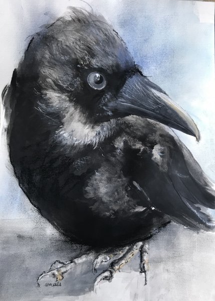 Ворон акварелью