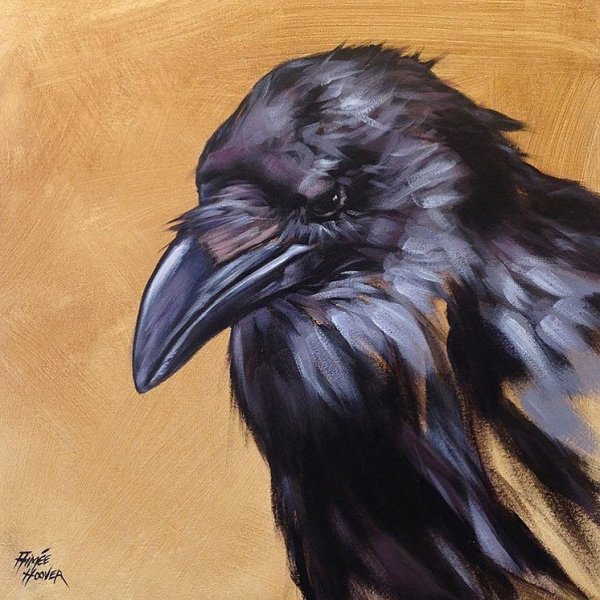 Голова ворона