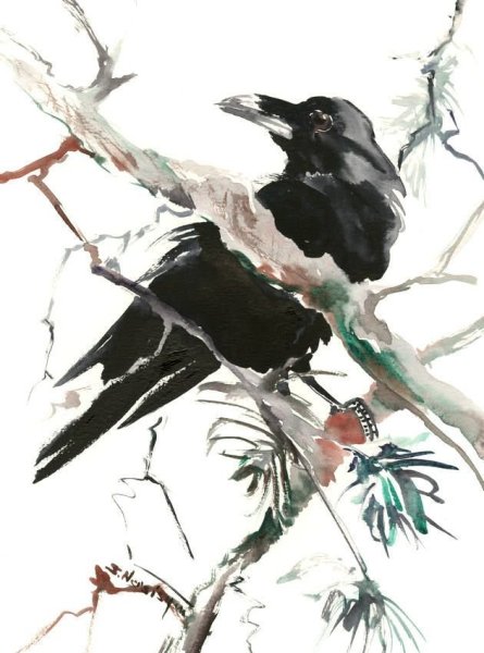 Ворон акварелью