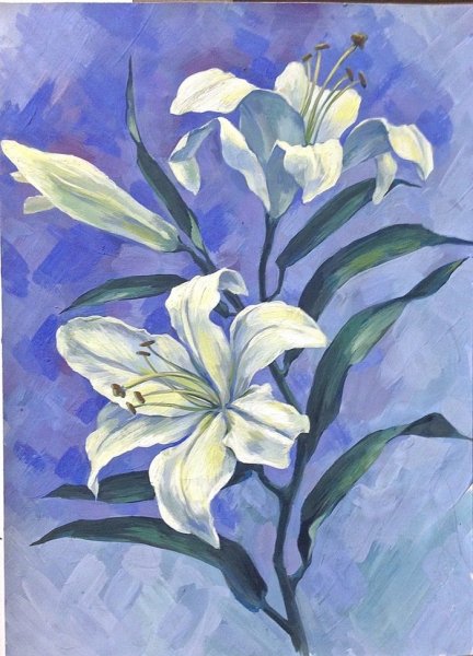 Рисунки цветов гуашью