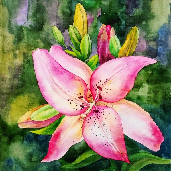 Лилии акварелью