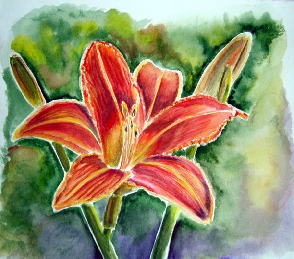 Лилии акварельными карандашами