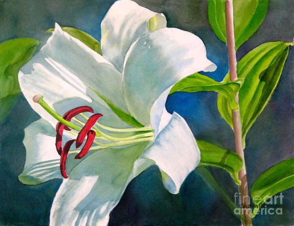 Американская художница Sharon Freeman