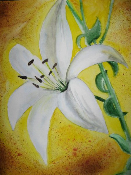 Лилии акварелью для начинающих