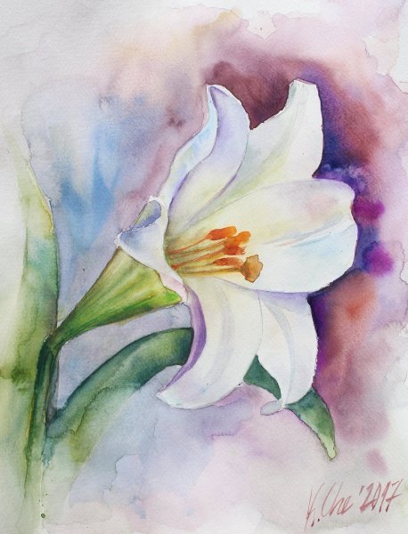 Цветы акварелью лилии плэнер