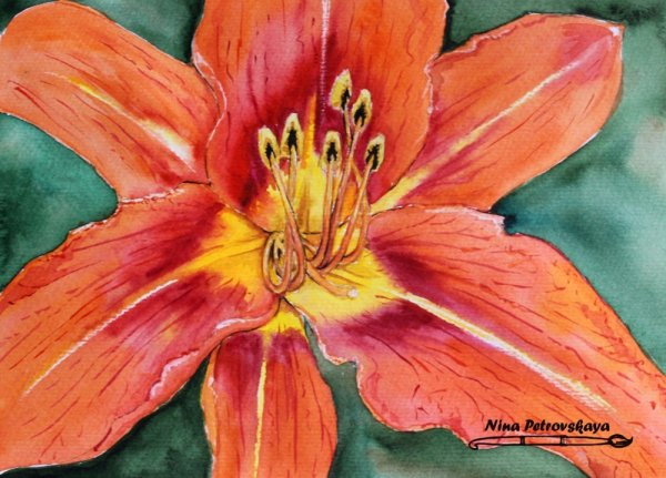 Лилия красками