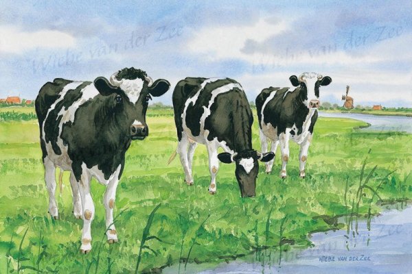 Скотный двор двор фермы