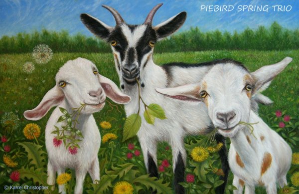 Сельский пейзаж гуашью