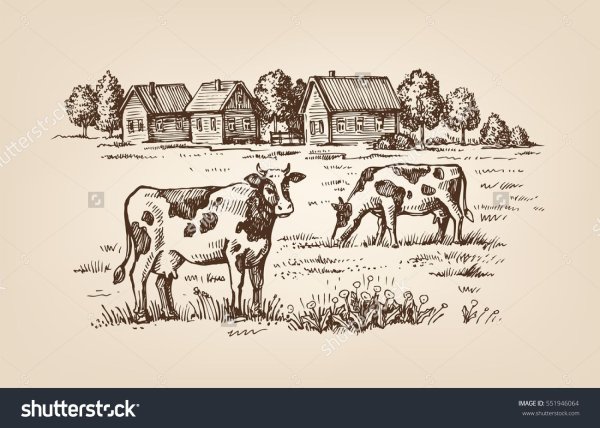 Ферма гравюра