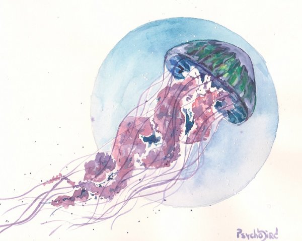 Лучший друг медуз иллюстрация