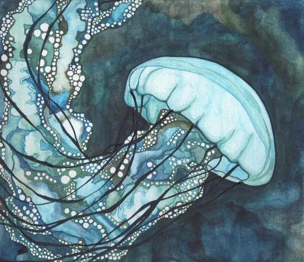 Медуза батик