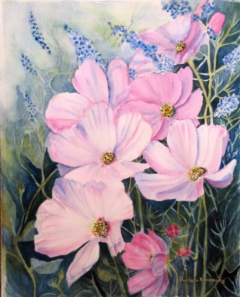 Цветы космея акварелью