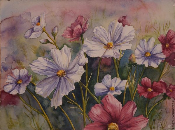 Космея акварелью