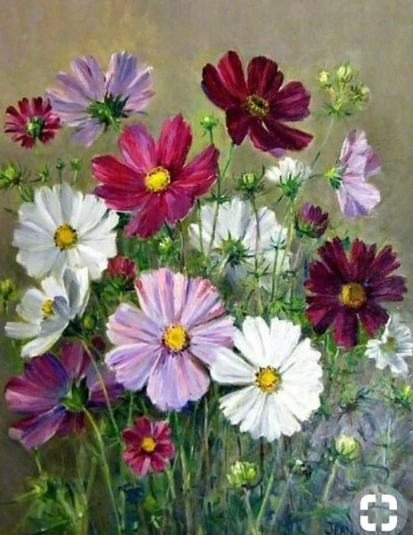 Космея. Людмила Скрипченко