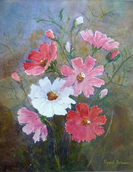 Космеи цветы маслом