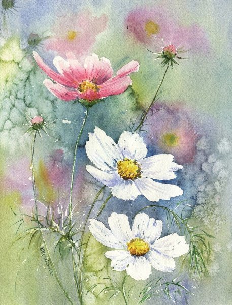 Maria Roszkowska Watercolor акварель цветы