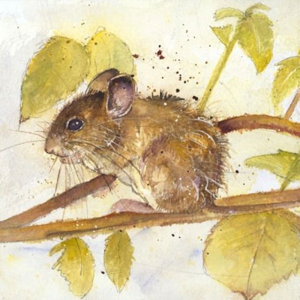 Мыши в живописи