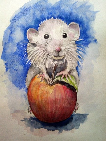 Крыса гуашью