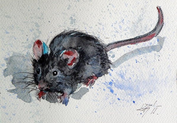 Крыса пастелью