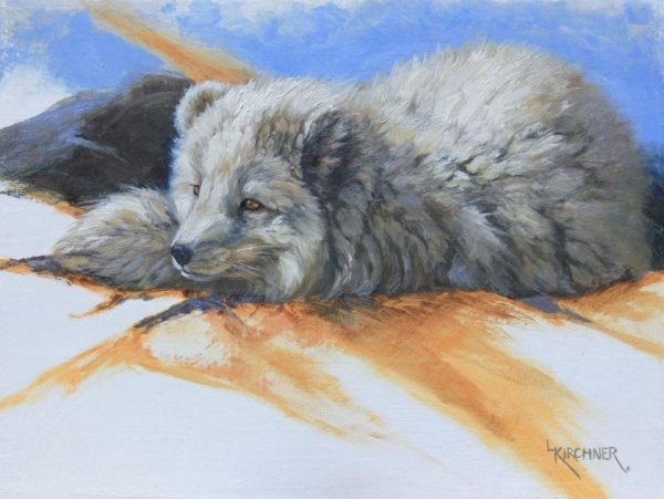 Песец акварель