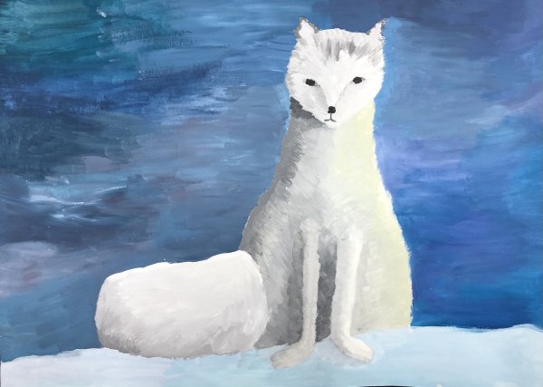 Песец гуашью