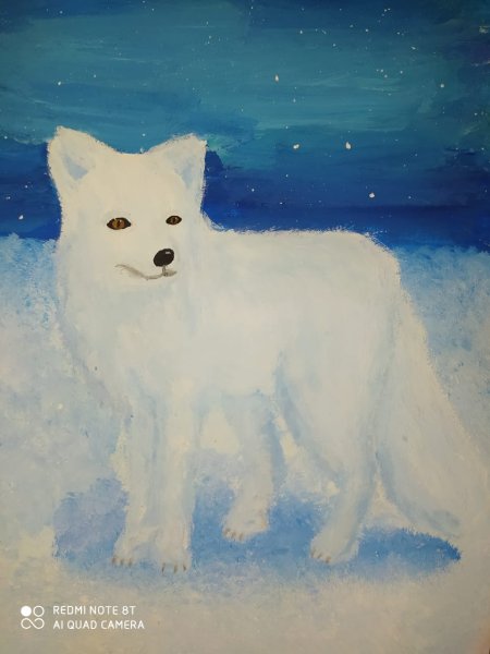 Песец гуашью