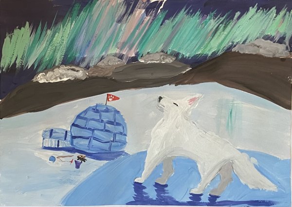 Северное сияние рисунки песец рисунок карандашом