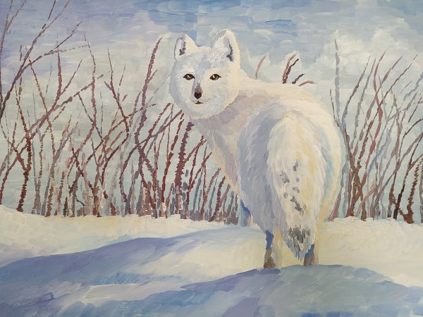 Песец гуашью