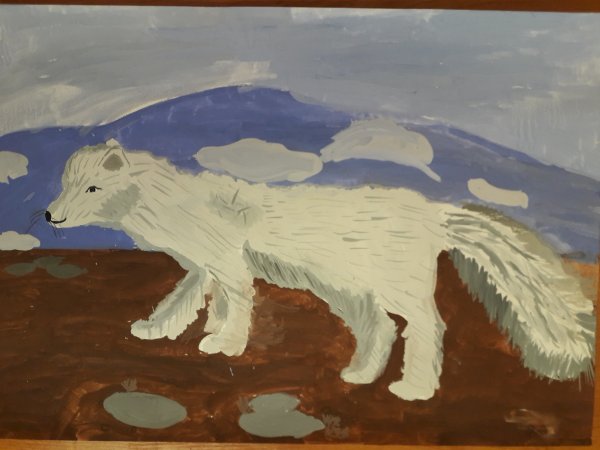 Рисование песец старшая группа