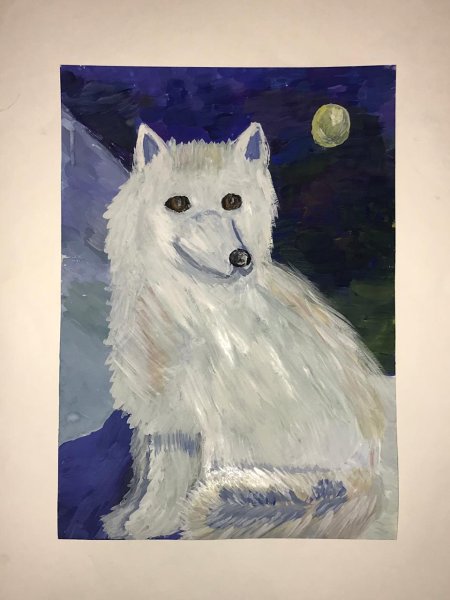 Песец гуашью художник