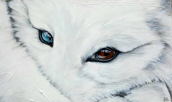 Песец аватарка