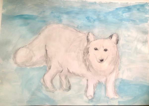 Не существуешь животное крылатый песец гуашью