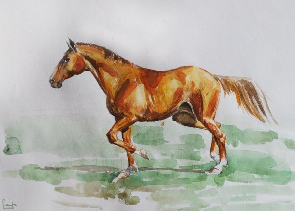 Лошадь рисунок