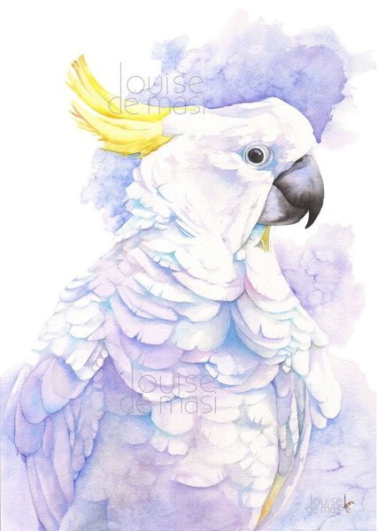 Какаду акварель