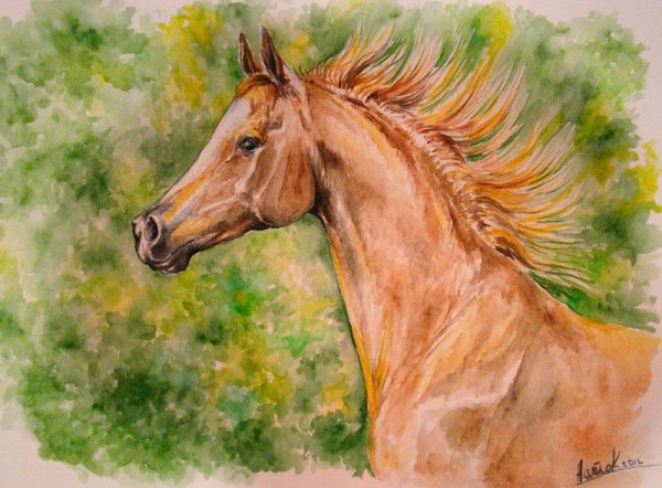 Лошадь гуашью