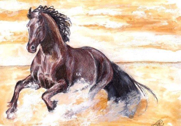 Лошадь рисунок