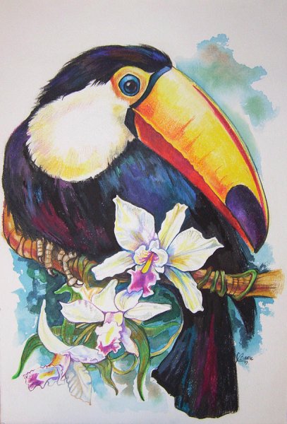 Какаду акварель