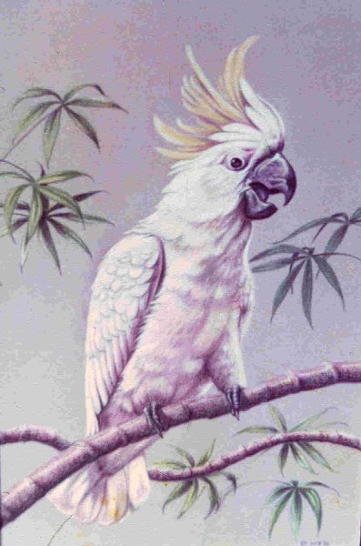Вышивка розовые Какаду